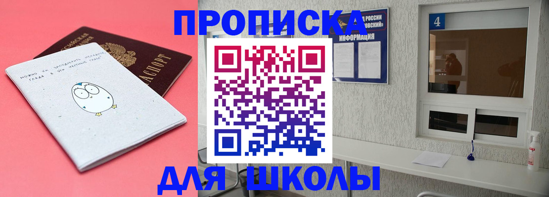 форма 3 в Сольцах